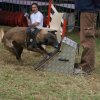 foire-haricots 2011-09-17et18